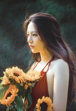 青楼十二房在线观看免费版电视剧全集