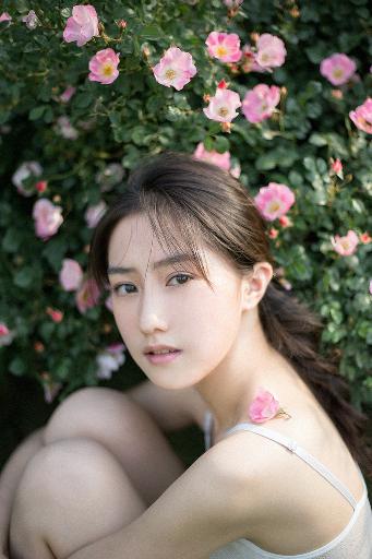 朝雪录电视剧免费观看全集高清