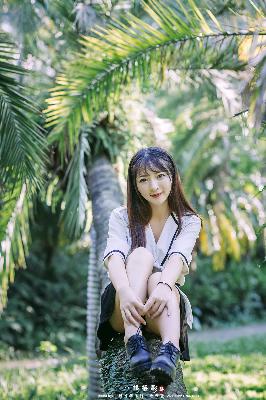 炽道电视剧全集免费观看