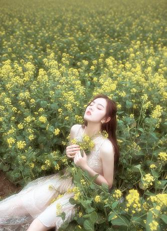 珠帘玉幕电视剧免费观看完整版