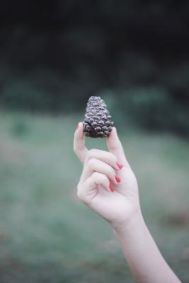 斗罗大陆2绝世唐门