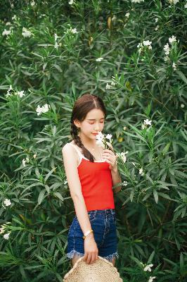 山月不知心底事电视剧免费观看