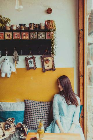 八戒八戒免费观看高清电视剧