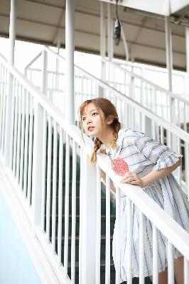 陈情令电视剧免费观看完整版高清