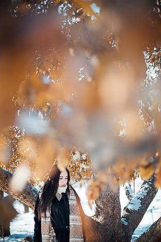 霜花店电影在线观看免费高清版