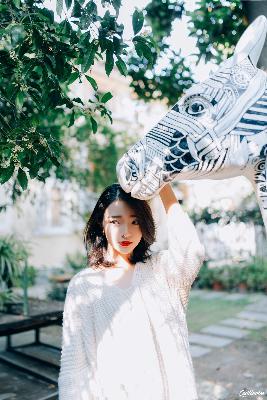 成全视频观看免费高清电视剧