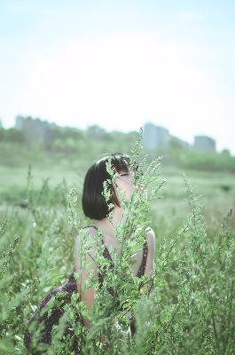 斗破苍穹年番免费动漫高清