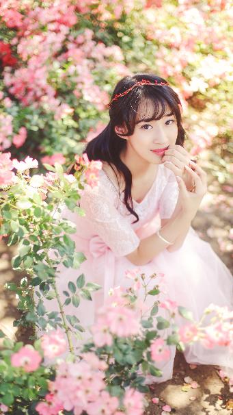 完美世界动漫在线观看全集免费播放