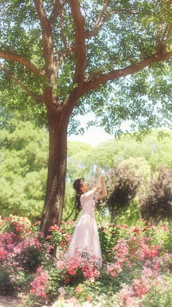 免费动漫51官网动漫