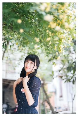 成人电影在线观看