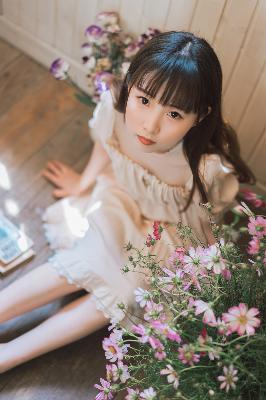 继续播放上次观看的短片内容