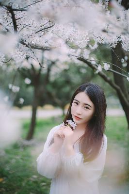 2025年天天免费资料百度中文