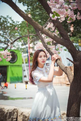 大地资源中文版在线播放