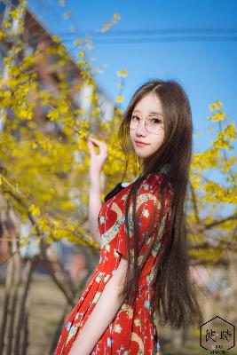 鸡毛飞上天电视剧全集免费