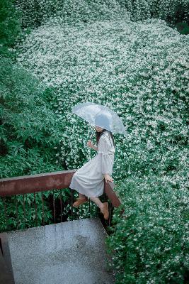 陈飞宇个人资料