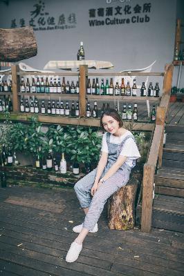 中文在线观看免费观看电视剧全集