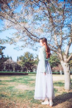 2025热播古风短剧免费看